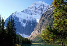 w88win优德:英超第30輪熱刺2-1布萊頓 孫興慜世界波驚艷全場!熱刺險勝布萊頓續追前四!.