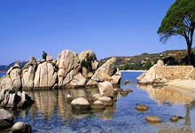 w88win优德:【世预赛】1比3负于日本队!国足5年来首次攻破日本球门.